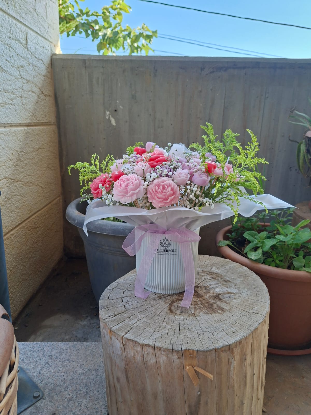 Jardin de Rose