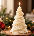 Rose de noel